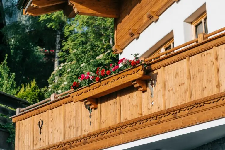 Kulinarische Highlights der Region